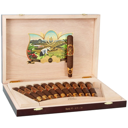 Oliva Serie V Liga Edicion Real 135 Anniversario - Shop Cigars Now  -  - Ecuadorian Sumatra Seed Wrapper, Medium, Nicaragua, Perfecto